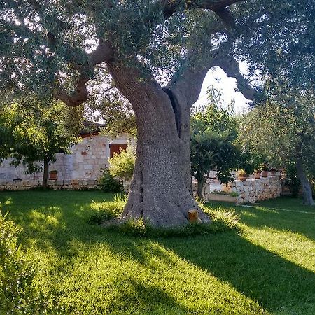 Il Giardino Degli Ulivi Acomodação com café da manhã Castellana Grotte Exterior foto