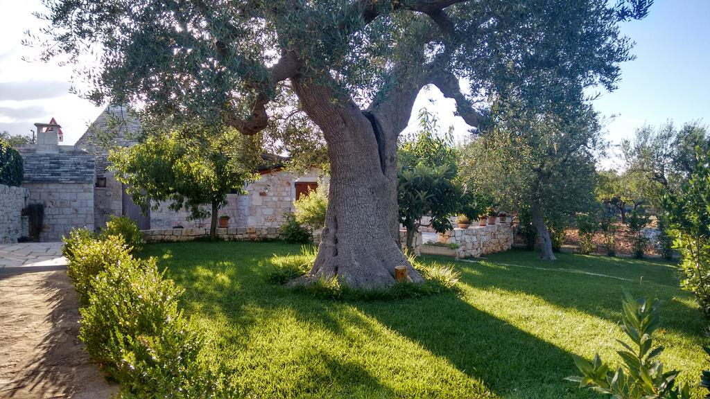 Il Giardino Degli Ulivi Acomodação com café da manhã Castellana Grotte Exterior foto